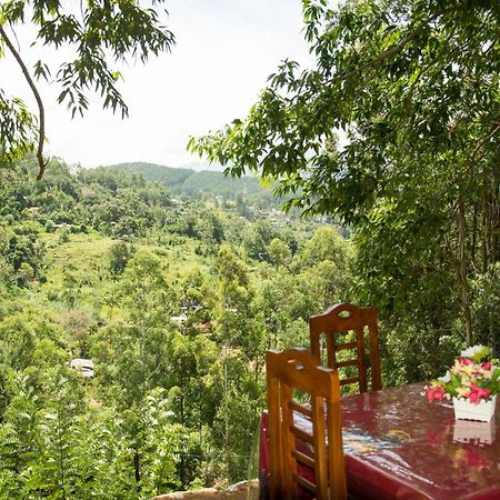 Rose Dale Homestay 엘라 외부 사진