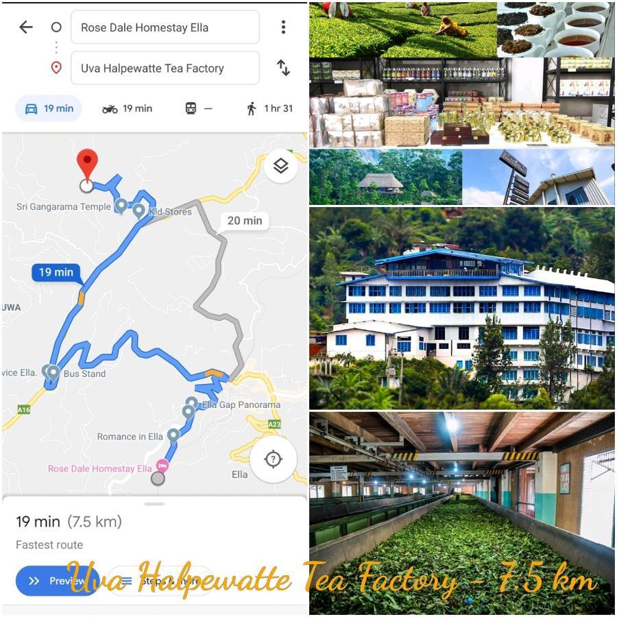 Rose Dale Homestay 엘라 외부 사진